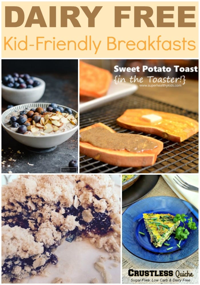 Lactose Free Low Lactose Diet Menu cricketgala