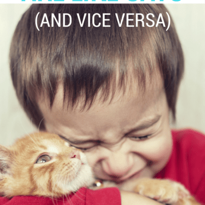 9 Ways The Cat And My Preschooler Are Soulmates